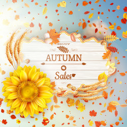 Similar image 11809196