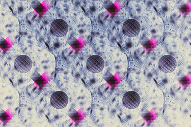 Similar image 11834080