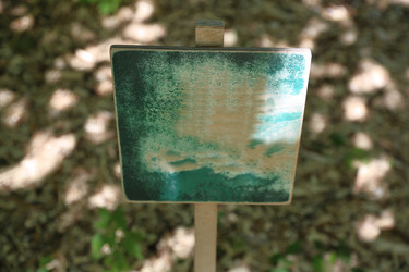 Similar image 11801319