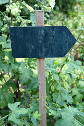 Similar image 11801321