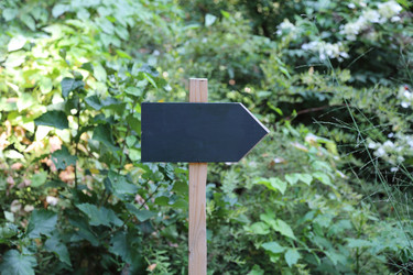 Similar image 11801323