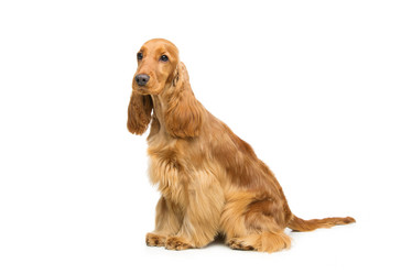 Similar image 11802600