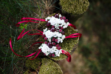 Similar image 11801071