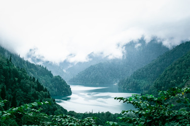 Similar image 11801329