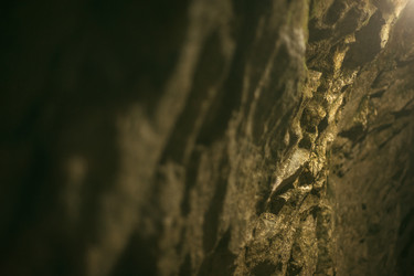 Similar image 11801330