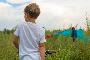 Similar image 11806308