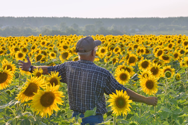 Similar image 11802361