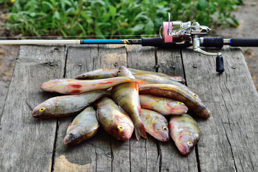 Similar image 11802271