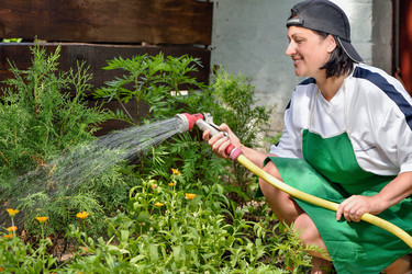 Similar image 11802302