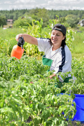 Similar image 11802273