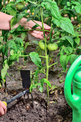 Similar image 11802276