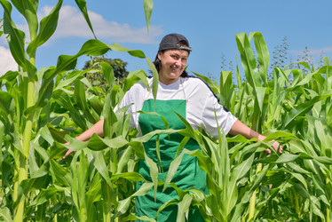 Similar image 11802277