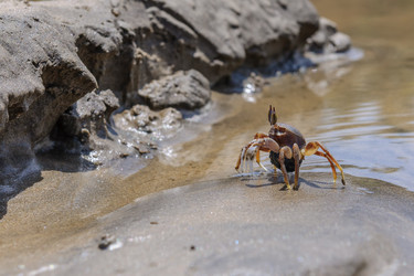 Similar image 11802865