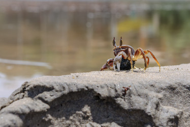 Similar image 11802866