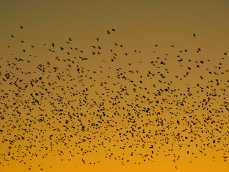 Similar image 11802836