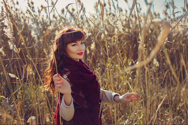 Similar image 11802501