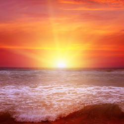 Similar image 11806800