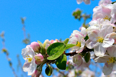 Similar image 11806802