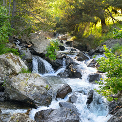 Similar image 11806808