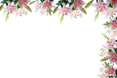 Similar image 11802402