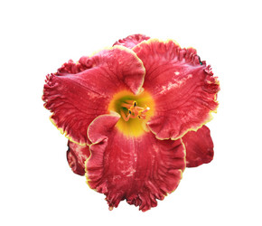 Similar image 11806810