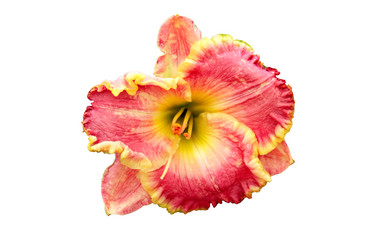 Similar image 11806811