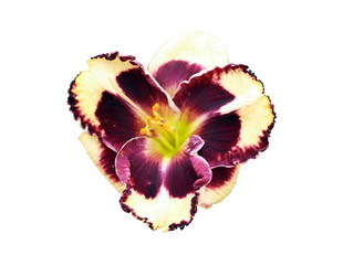 Similar image 11806812