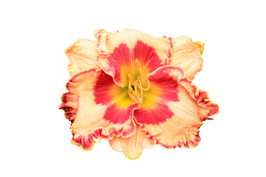 Similar image 11806813