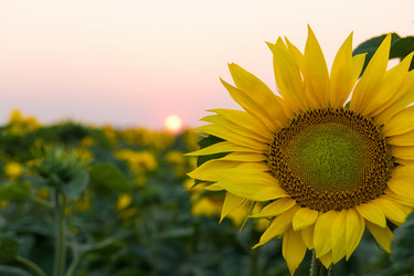 Similar image 11806348