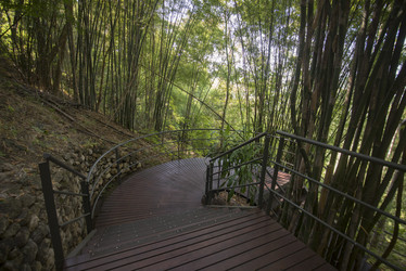 Similar image 11806602