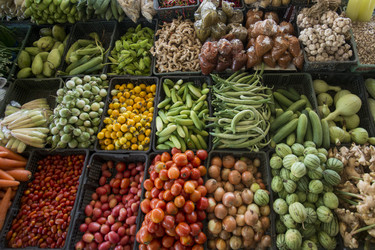 Similar image 11806612