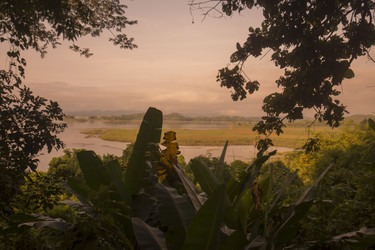 Similar image 11806590