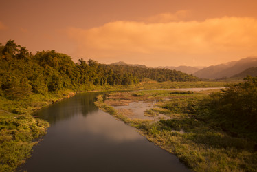 Similar image 11806535