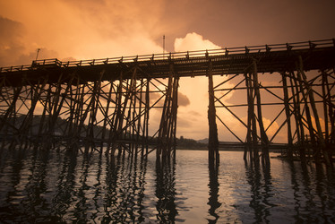 Similar image 11806541