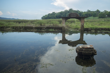 Similar image 11806501