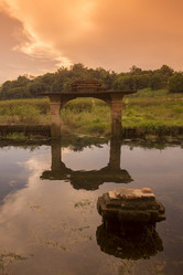 Similar image 11806502