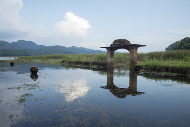 Similar image 11806509