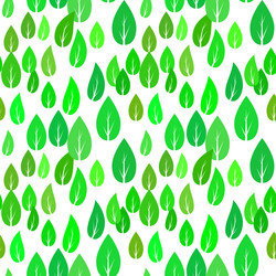 Similar image 11809392