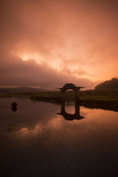 Similar image 11806510