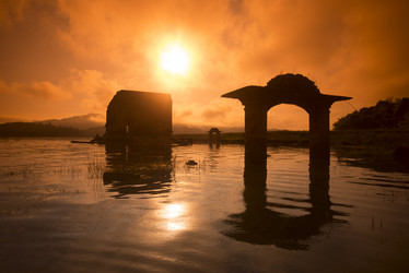 Similar image 11806550