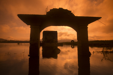 Similar image 11806516