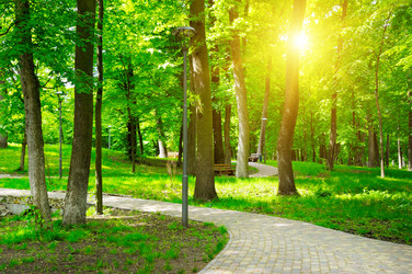 Similar image 11808919