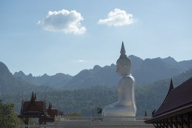 Similar image 11806955