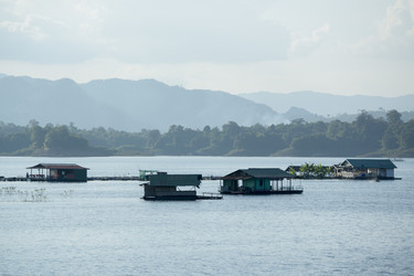 Similar image 11806960