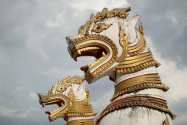 Similar image 11806961