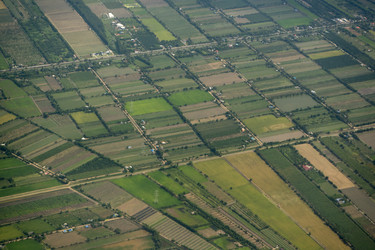 Similar image 11806962