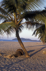 Similar image 11806934