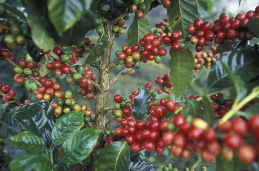 Similar image 11806942