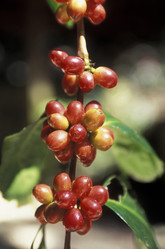 Similar image 11806951