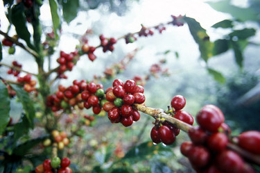 Similar image 11806954